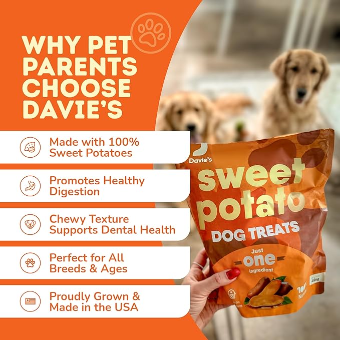 Davie's Sweet Potato Dog Treats - Healthy, Natural, Low Fat Chews Made in USA - 1 lb Bag, Pack of 2