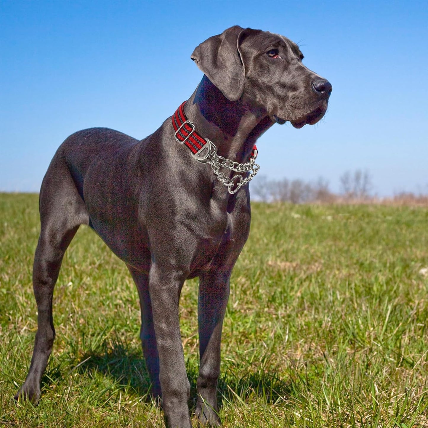Martingale Dog Collar for Training,Adjustable No Pull Reflective Collar with Chain Collars for X-Large Dogs Secure/Comfortable Walking Collar for Night Safety（Red XL）