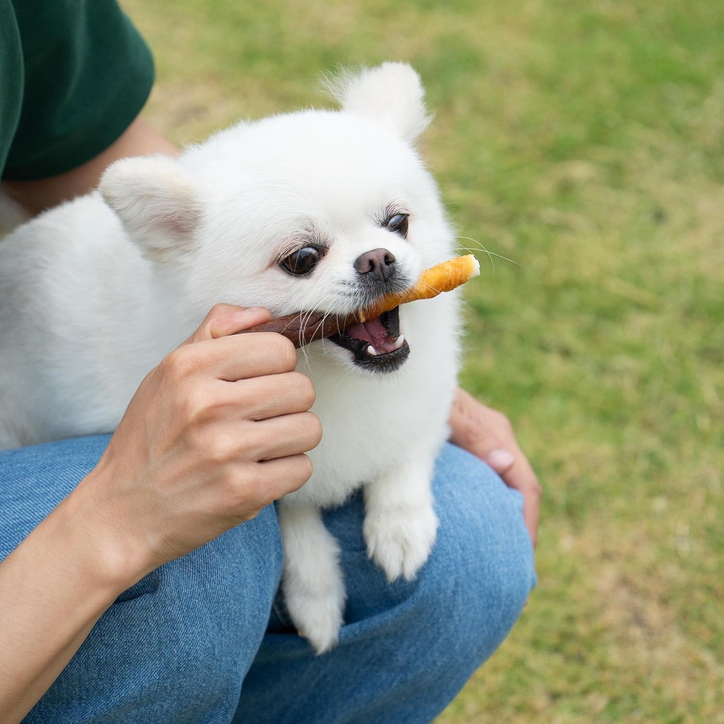 MON2SUN Dog Treats 5 Inch Double Flavor Chicken & Chicken Liver Wrapped Rawhide Sticks, Teeth Cleaning for Small Dogs, 21.16 oz (30 Count)