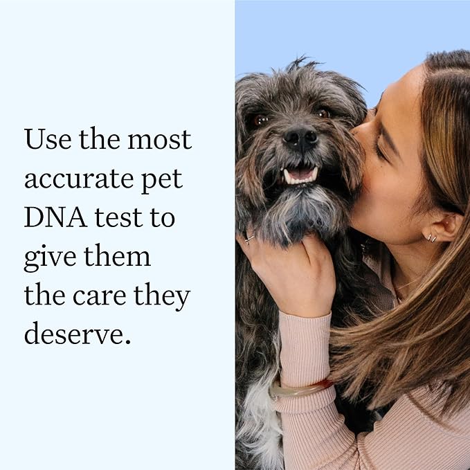 Wisdom Panel Essential Dog DNA Kit: Most Accurate Test for 365+ Breeds, 30 Genetic Health Conditions, 50+ Traits, Relatives, Ancestry - 1 Pack