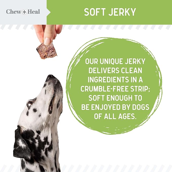 Chew + Heal Labs Low Calorie Dog Jerky Treats - 5 oz of Vegan Plant Based Natural Dog Treats with Chia Seeds, Fruits, and Vegetables - Good for Weight Management - Made in The USA