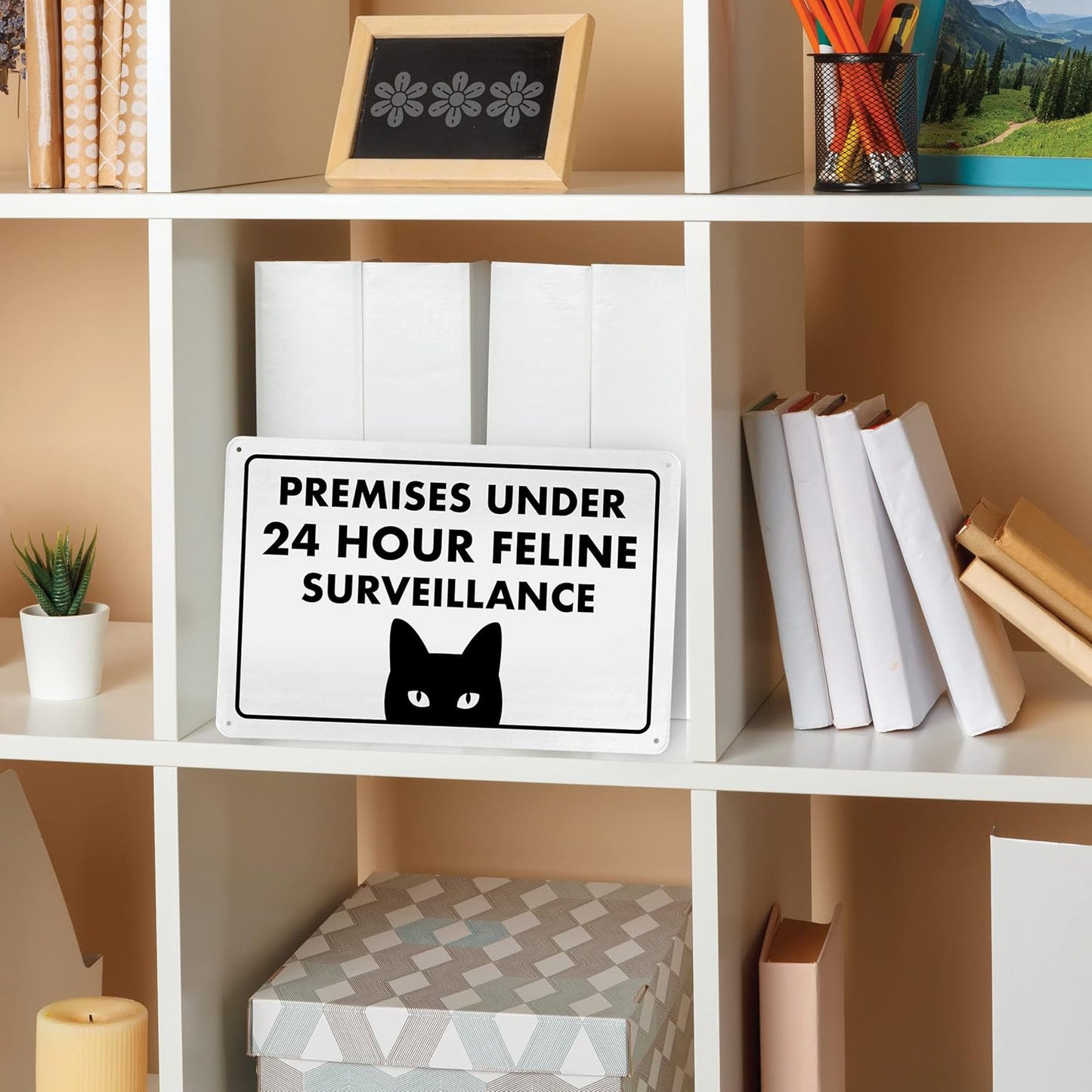 Premises under 24 Hour Feline Surveillance - Funny HALLOWEEN Cat Sign, Metal - 8" x 12" - Cat Signs for Home Decor, Gift for Cat Lovers, Cat Warning Sign, Cat Lady Sign - ENVISIONED Signage