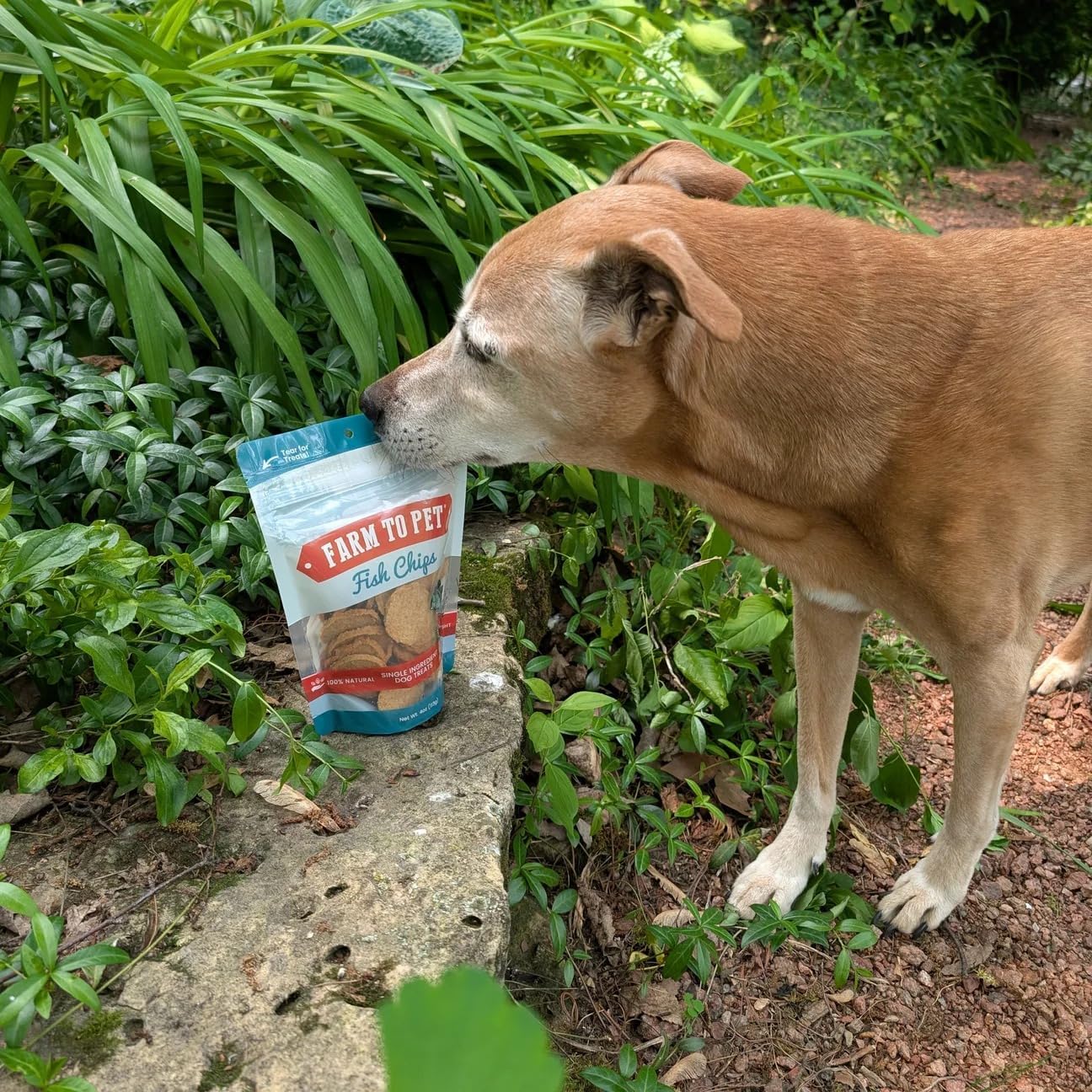 Farm To Pet - Dog Training Treats - 12 oz Fish Chips, Single Ingredient, Lean, All Natural, Healthy Treats for Small, Medium, Large Dog Breeds, & Puppies, Made in USA (12oz)