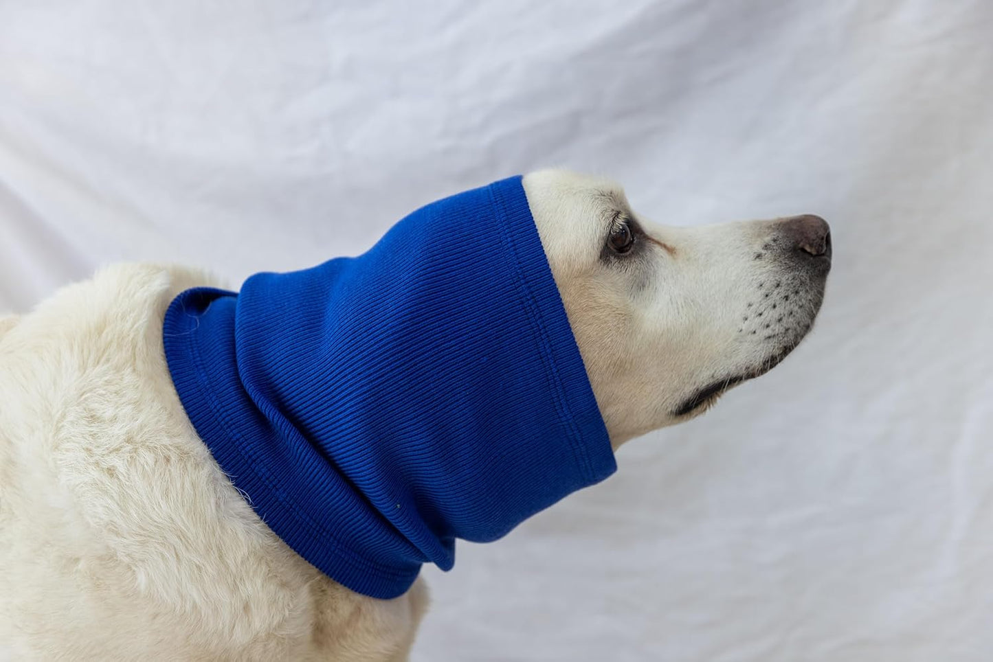 Dog Ear Muffs for Noise Cancelling, Keep Claming Ear Covers Outdoor Activities Neck Snood for Dog (Blue L)