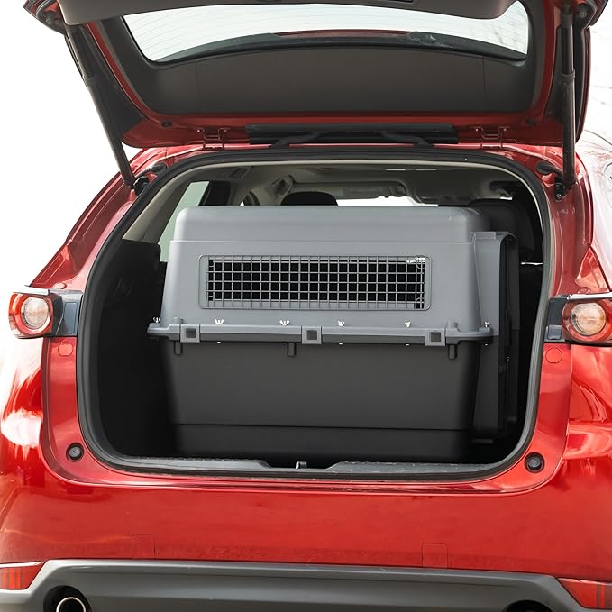 SportPet Designs Plastic Airline Approved Kennels Wire Door Travel Dog Crate, X-Large