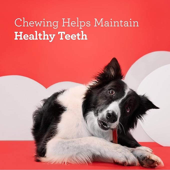 DreamBone DreamSticks, Rawhide Free Dog Chew Sticks Made with Real Beef and Vegetables, 15 Sticks