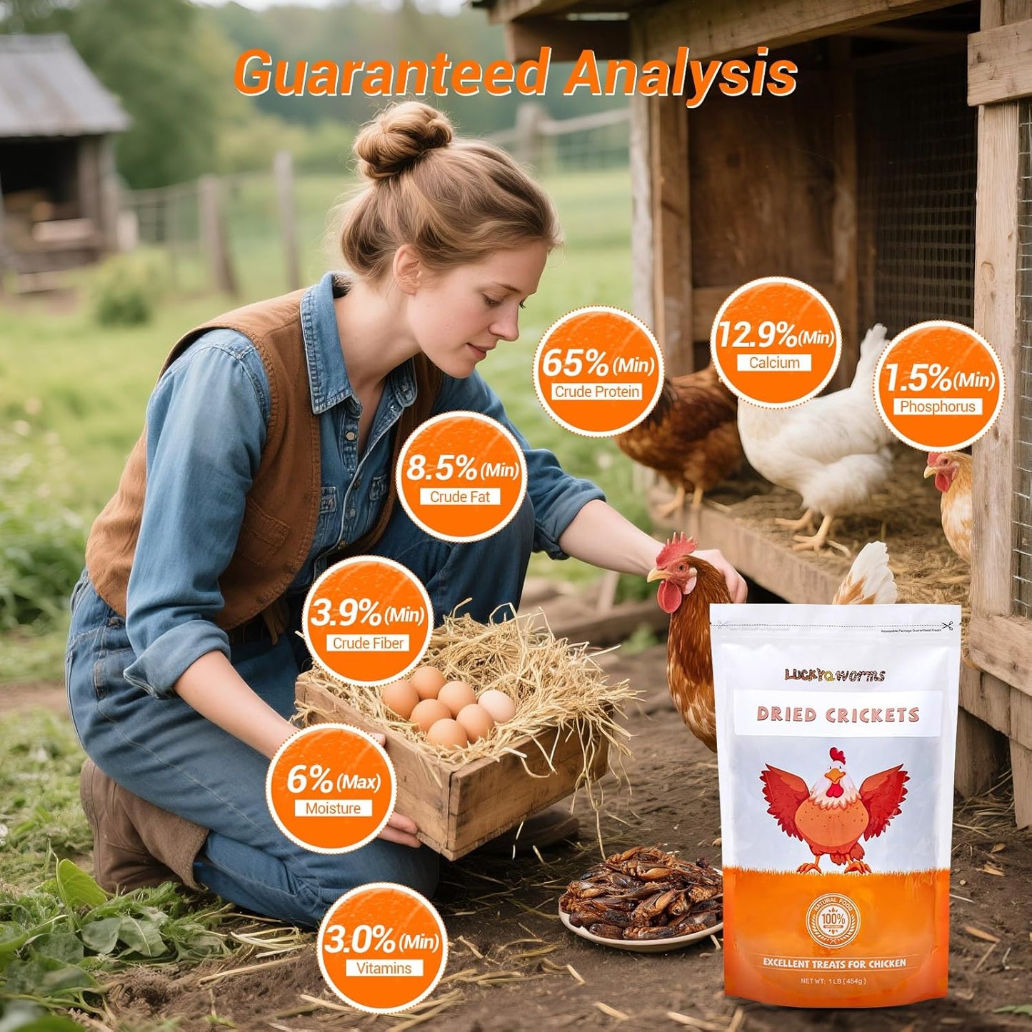 Dried Crickets 1 lb for Chickens, Wild Birds, Hedgehogs, Reptiles, Lizards, Bearded Dragons, Fish, Turtles - High Protein Natural Insect Food Resealable Bag