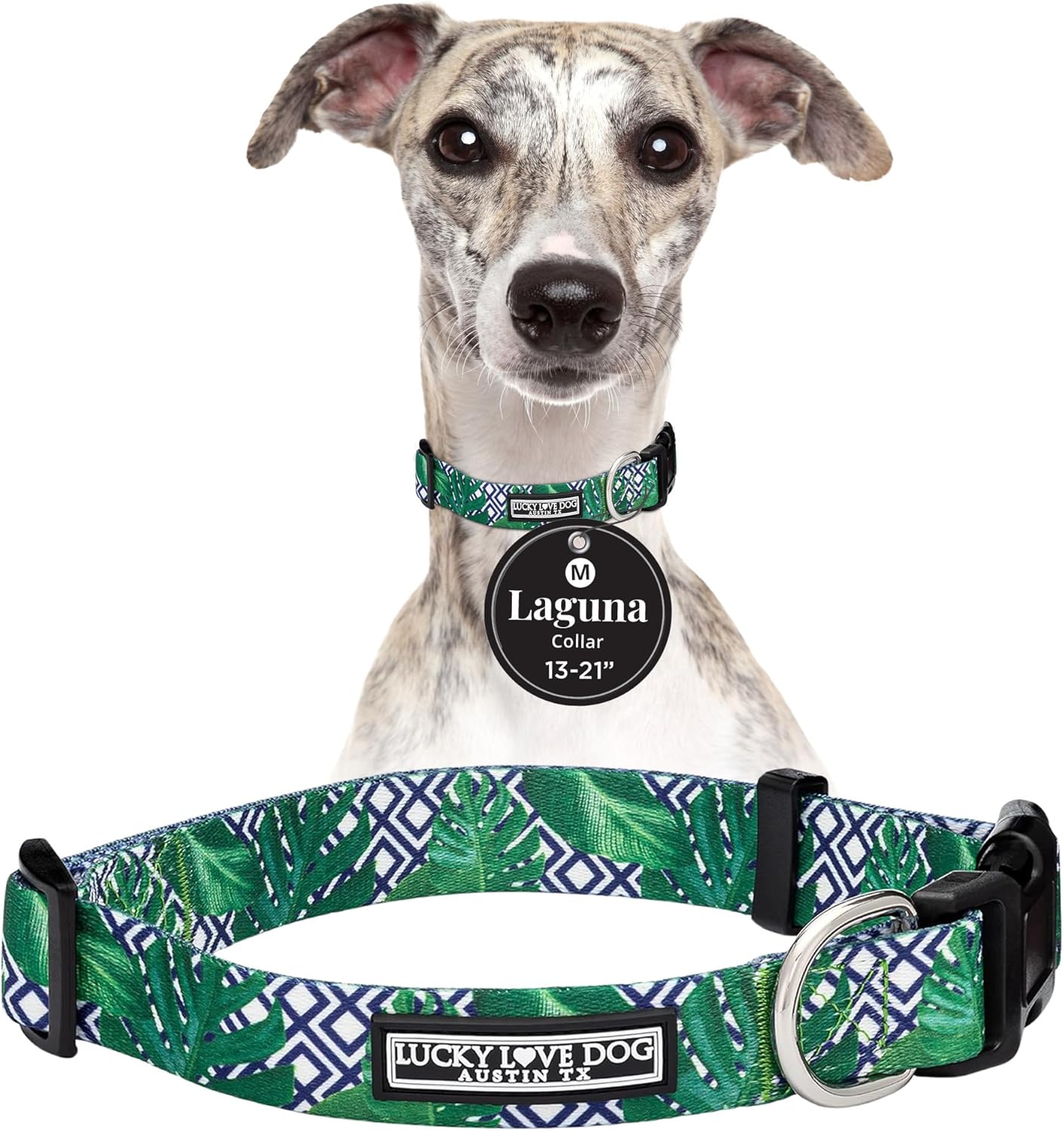Lucky Love Dog Collar, Beautiful & Vivid Pattern Medium Boy Dog Collars, Easy On & Off Clasp Accessory (Blue Laguna, M)