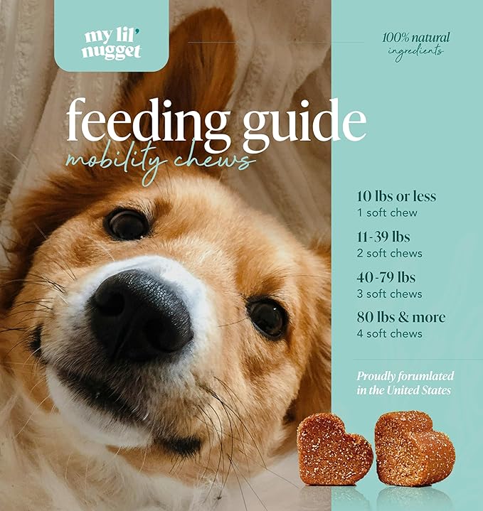 My Lil' Nugget - Natural Hip & Joint Supplement Chews for Dogs - Glucosamine, Hemp Seed & Chondroitin Mobility Support - Bacon Flavored - Soft Chews for All Ages - 90 Count