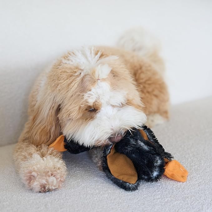SPOT Skinneeez Mini Mallard Duck 13 Inch Stuffing-Free Plush Squeaky Dog Toy – Soft Interactive Toy for Small and Medium Dogs – Mess-Free Play for Light & Moderate Chewers – Assorted Styles