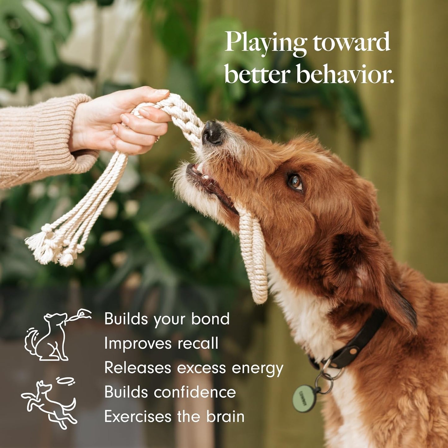 LAY LO Natural, Non-Toxic Cotton Rope Toys for Small and Medium Dogs | 2-Pack | Includes Live Support with Dog Trainer | Durable & Eco-Friendly | Unique Boho Designs with Handle | Puppy Teething Toy