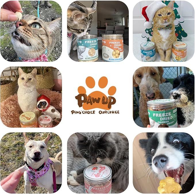 Freeze Dried Cat & Dog Treats, Natural Quail Egg Yolk, High Fiber Pumpkin Added, High-Protein Pet Snacks for Coat & Gut Health, 3.5 oz