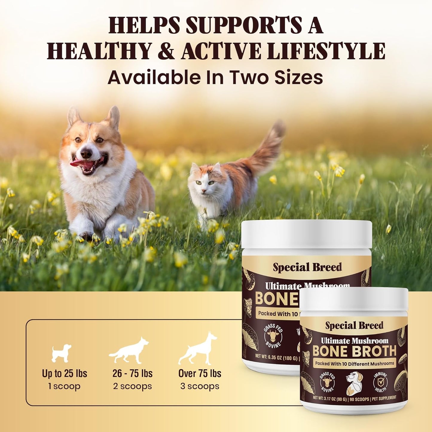 Beef Bone Broth for Dogs - Dog Bone Broth Powder with Ten Organic Mushrooms - High Protein + Ten Mushroom Supplement for Joint Flexibility, Immune Support, Cognition, Vitality, Hydration - 180 Scoops