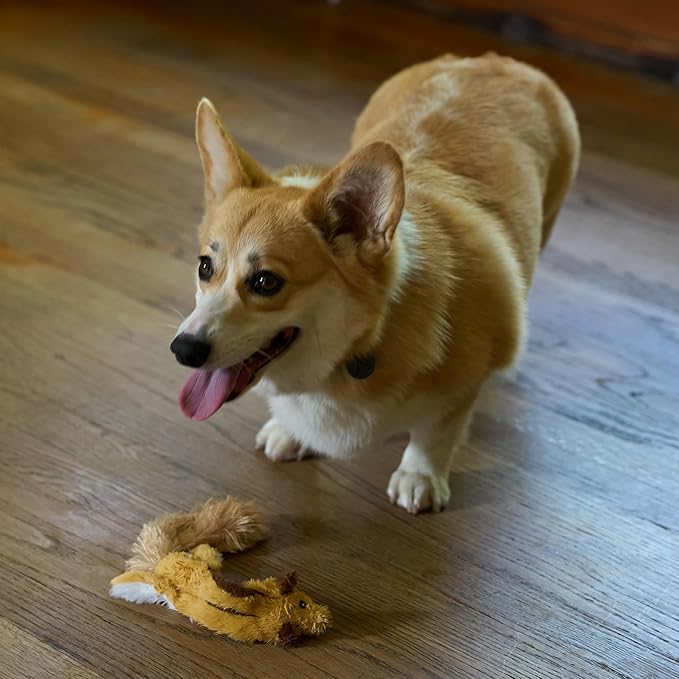 SPOT Skinneeez Flying Squirrel 14 Inch Stuffing-Free Plush Squeaky Dog Toy – Soft Tug-of-War Toy for Small and Medium Dogs – Mess-Free Interactive Chew Toy for Moderate Chewers