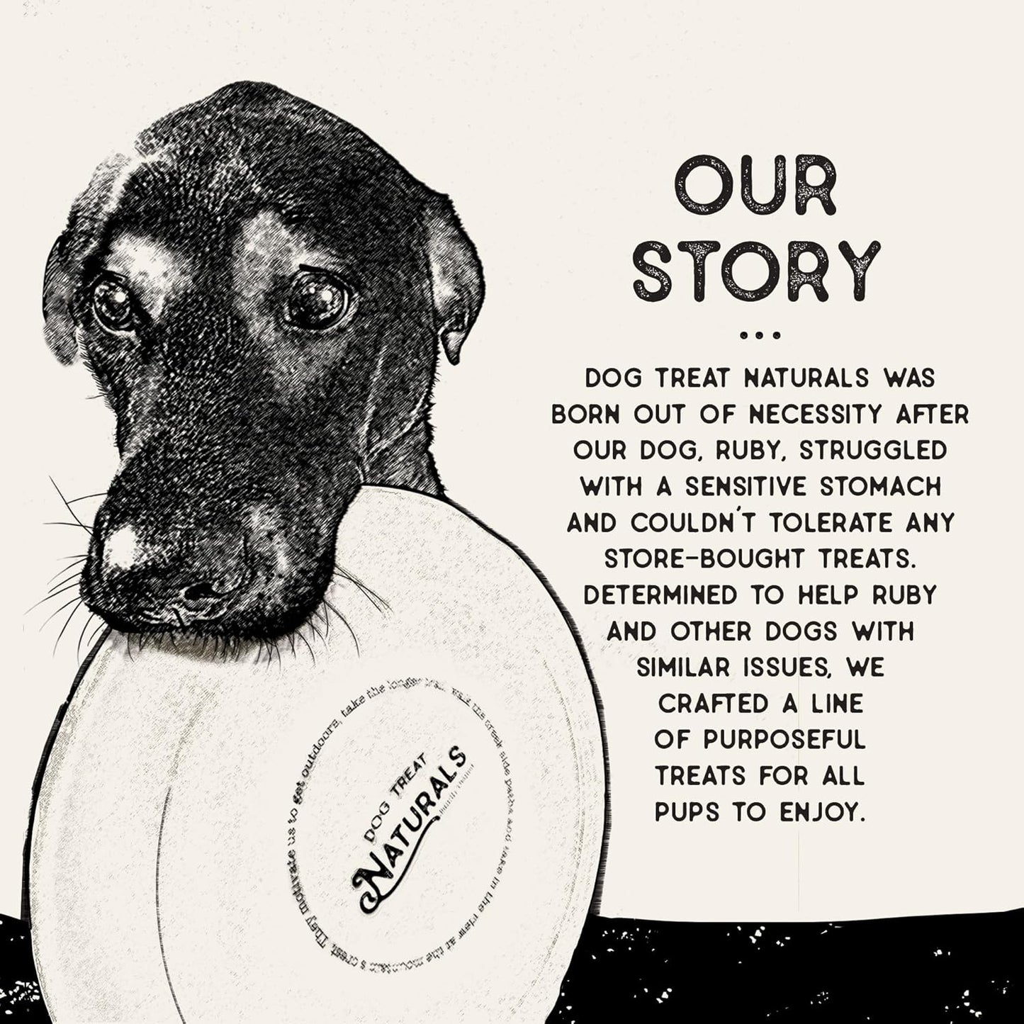 Dog Treat Naturals Dental Chew Sticks | Helps Clean Teeth and Easy to Digest Dog Treats | Dog Breath Freshener | Made with Chickpea & Mint| Made in USA (20 Sticks)