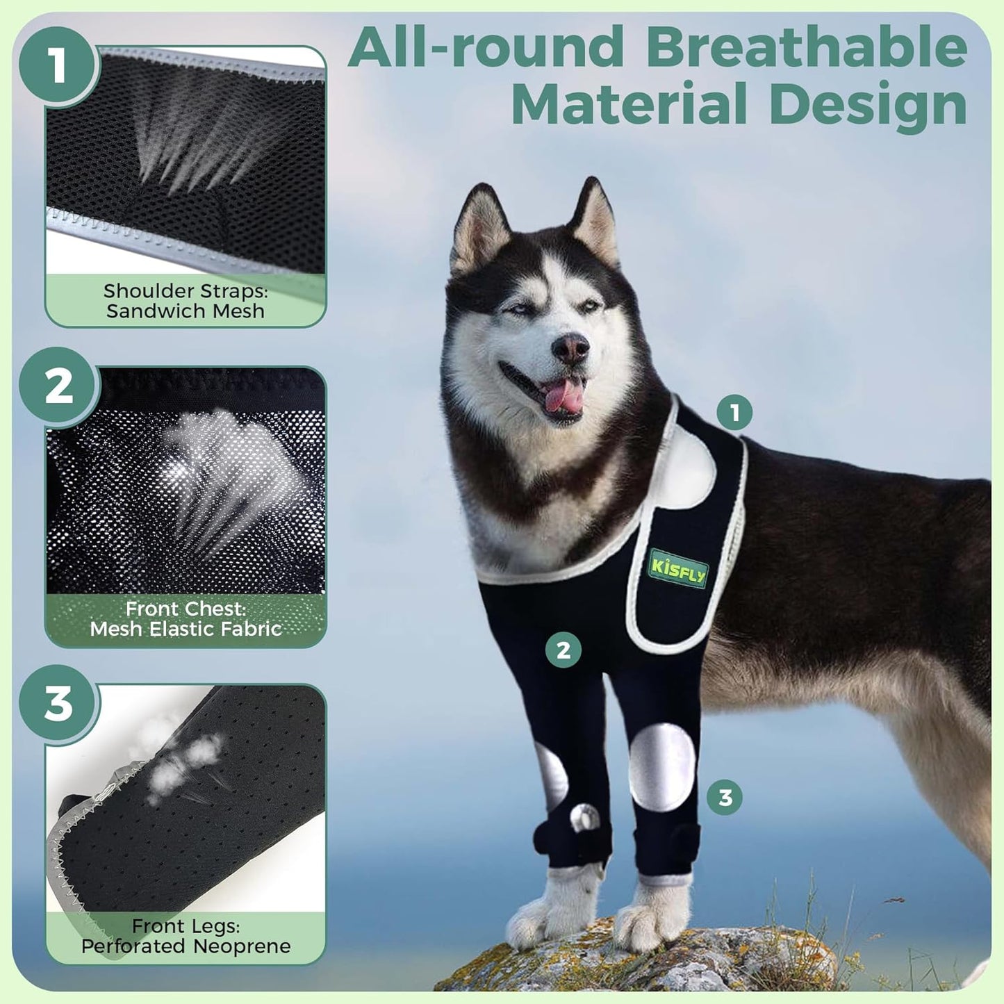Dog Leg Brace Front Prevents Elbow Hygroma, Elbow Calluses, Pressure Sores, Elbow Injuries, Shoulder Dislocations and Licking Wounds, With Reflective Material Makes Night Activities Safer- Both Legs L