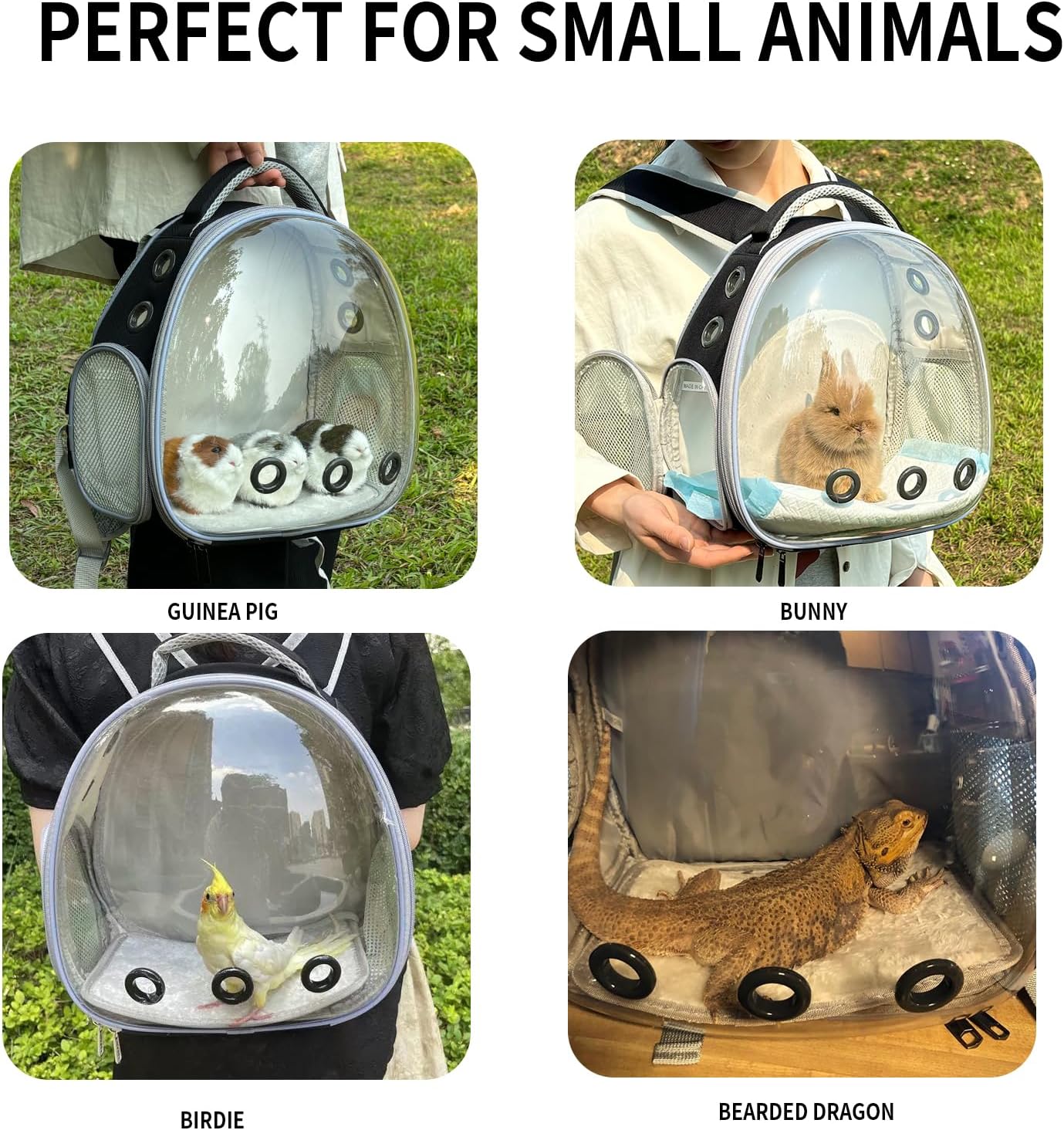 Bearded Dragon Lizard Backpack Carrier with Harness and Leash Set, Small Animal Carrier Backpack, Space Capsule Bubble Window, Small Pet Carrier Backpack, Airline Approved (Black)