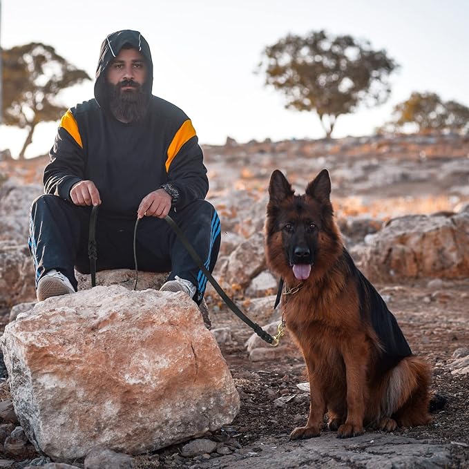 Genuine Leather Dog Leash - Heavy Duty Dog Training Leashes for Large Breed Dogs and Medium Dogs - 4FT / 5FT / 6FT Long with Color Black and Brown