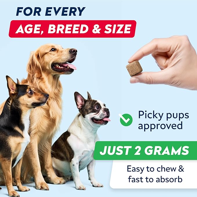 STRELLALAB Green Grass Dog Chews - Dog Pee Grass Helper - Supplement Urine Neutralizer for Grass Burn Spots - Grass Treatment for Pet Urine - Pee Lawn Repair Treats with Probiotics - Made in USA