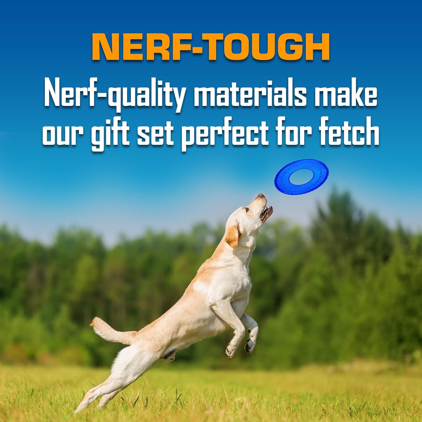Nerf Dog Toy Gift Set, 3-Piece Set of Outdoor Dog Toys for Tug and Fetch, Includes 3-Ring Tug, Exo Squeak Bone and Tire Flyer