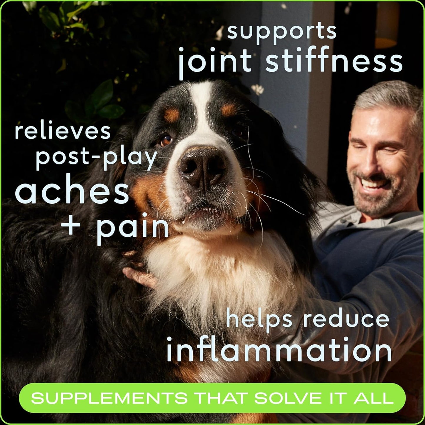 Native Pet Pain Relief for Dogs - Collagen for Dogs Promotes Joint Health, Reduce Inflammation & Stiffness - Senior Pup Joint Supplement - Natural Pain Reliever for Active & Aging Pets - 120 Chews