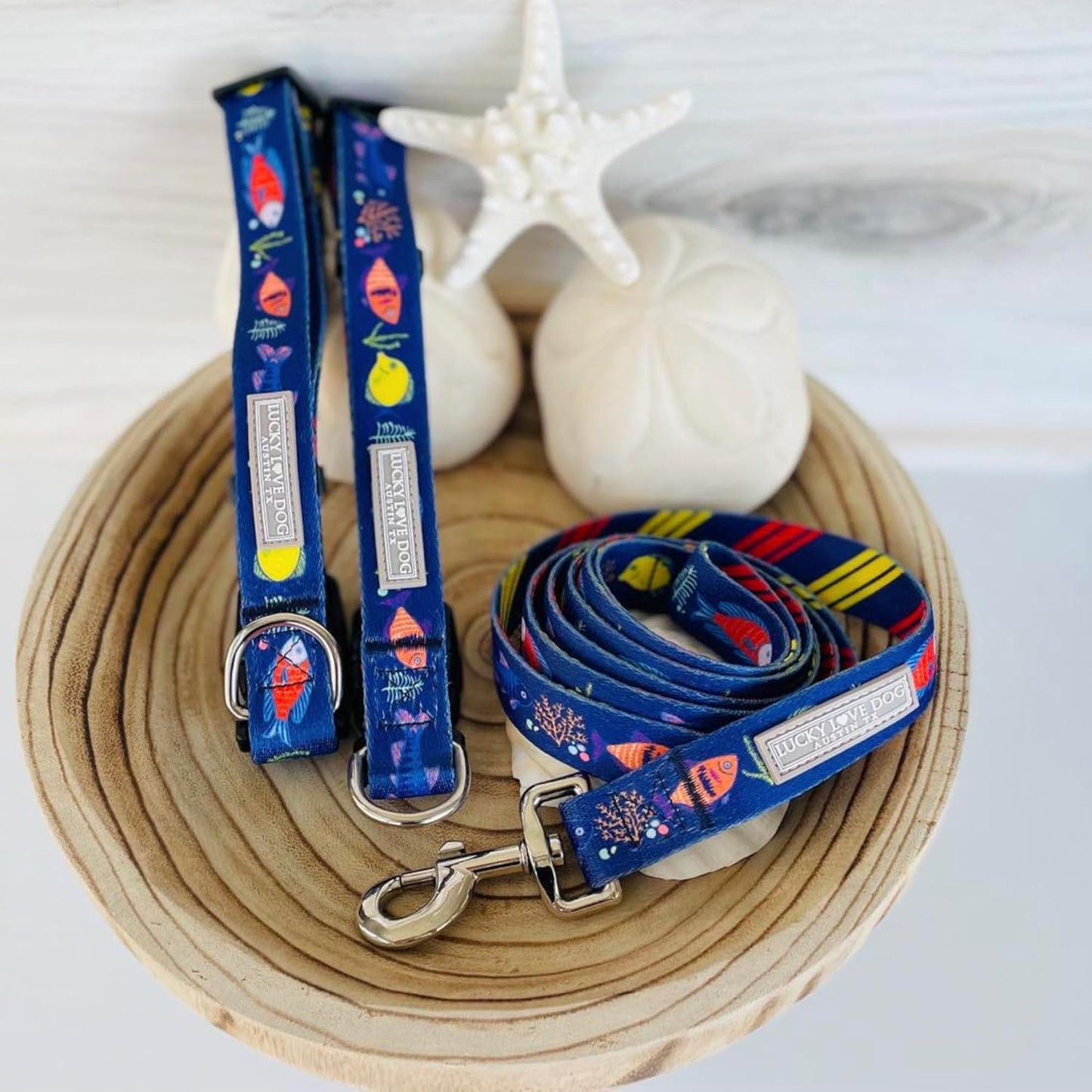 Lucky Love Dog - Easy Click Buckle Dog Collar with Leash Set Combo, Durable & Comfortable for Male & Female Dogs, Pet Collar for Small to Large Dogs, Secure Fit - Mackey Combo, XS