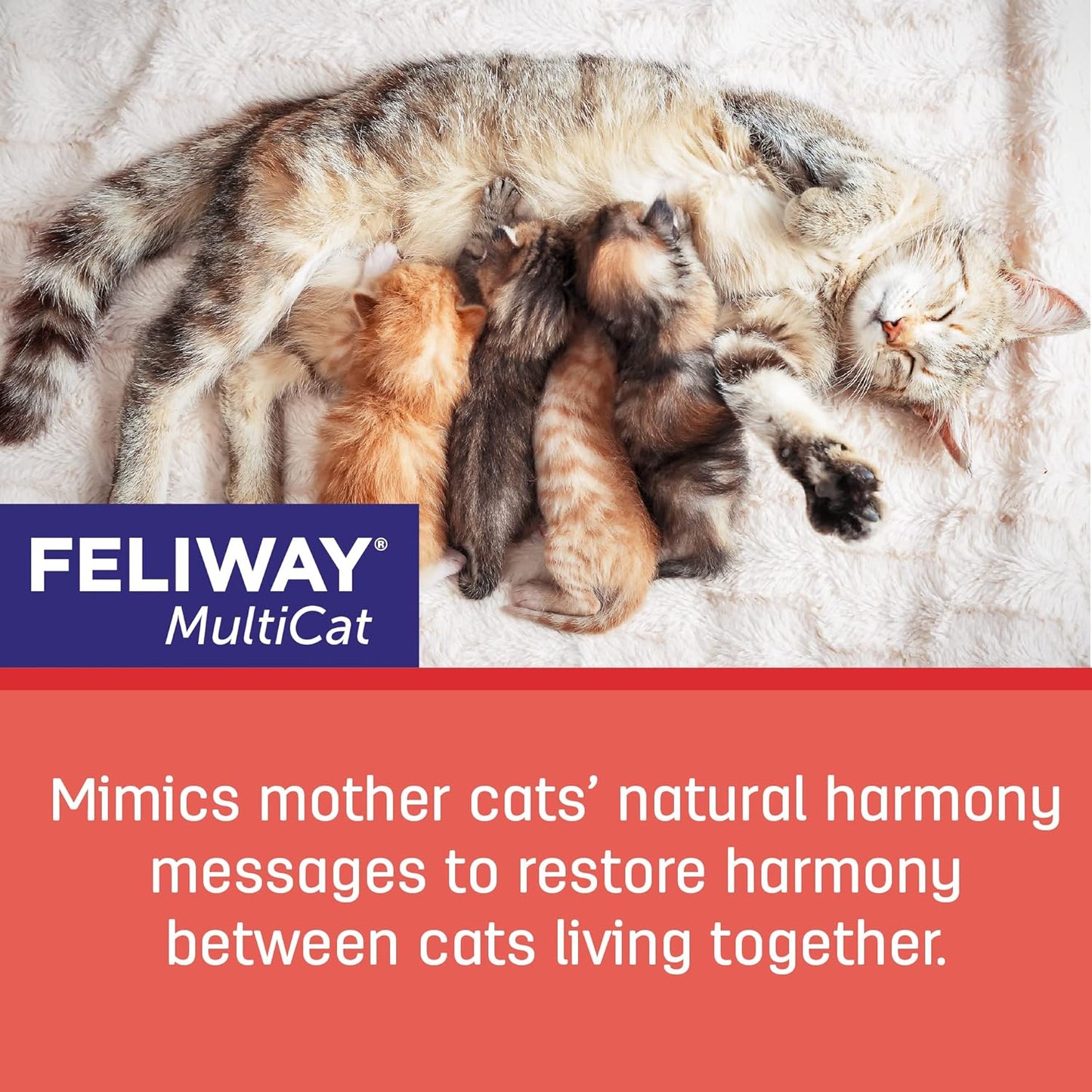 FELIWAY® MultiCat 3 x 30 Day Cat Calming Refills for Pheromone Diffuser, 3 x 48ml Value Pack- Helps Reduce Conflicts and Signs of Tension in Multi-Cat Households