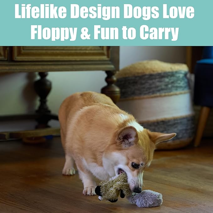 SPOT Skinneeez Raccoon 14 Inch Stuffing-Free Plush Dog Toy – Soft, Mess-Free Toy with One Squeaker for Small & Medium Dogs, Best for Light to Moderate Chewers