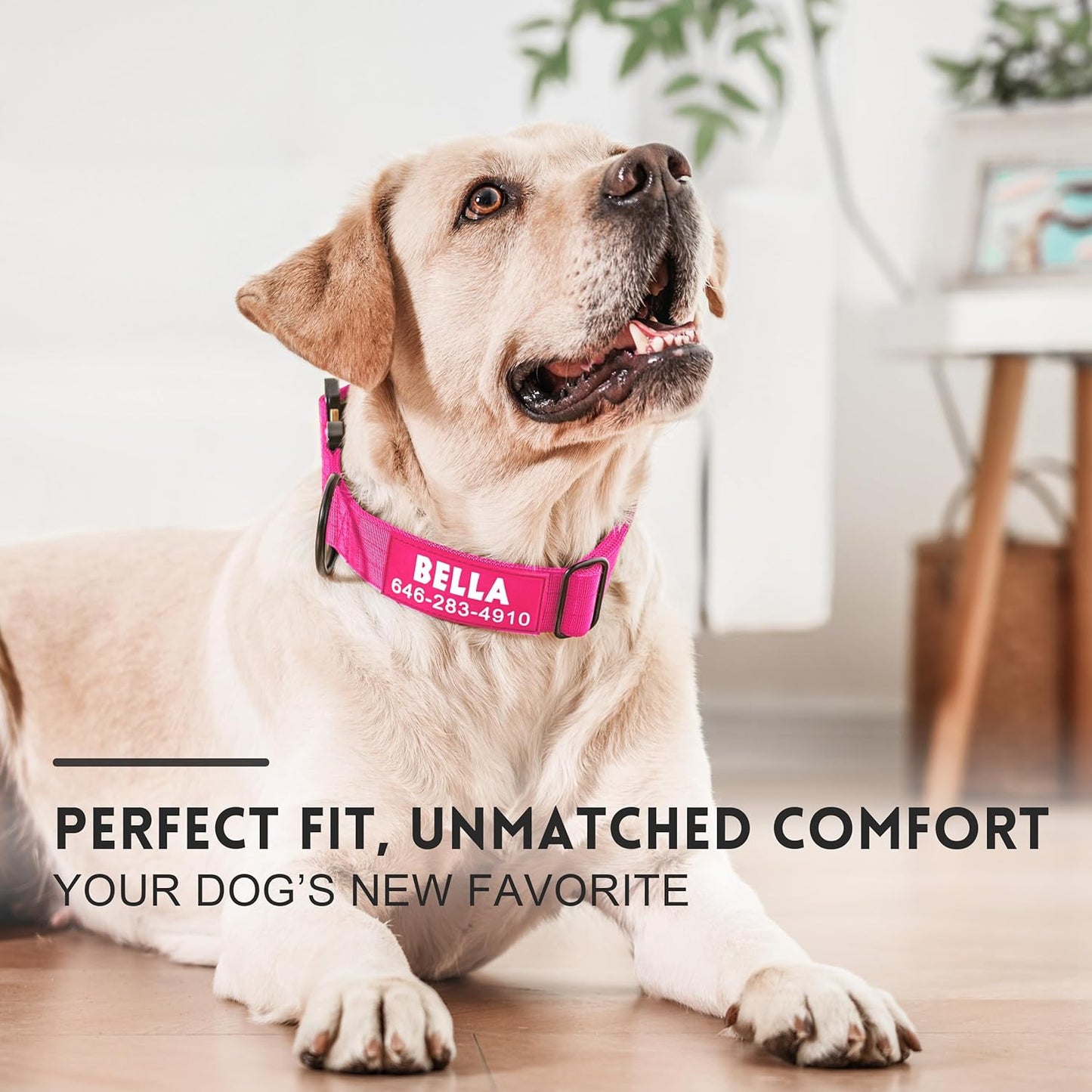 Personalized Tactical Dog Collar for Large Dogs, Heavy Duty Military Collar with Name, Made of Thick Nylon and Strong Metal Buckle for Maximum Durability, Available in Pink, Blue, Black, and Green