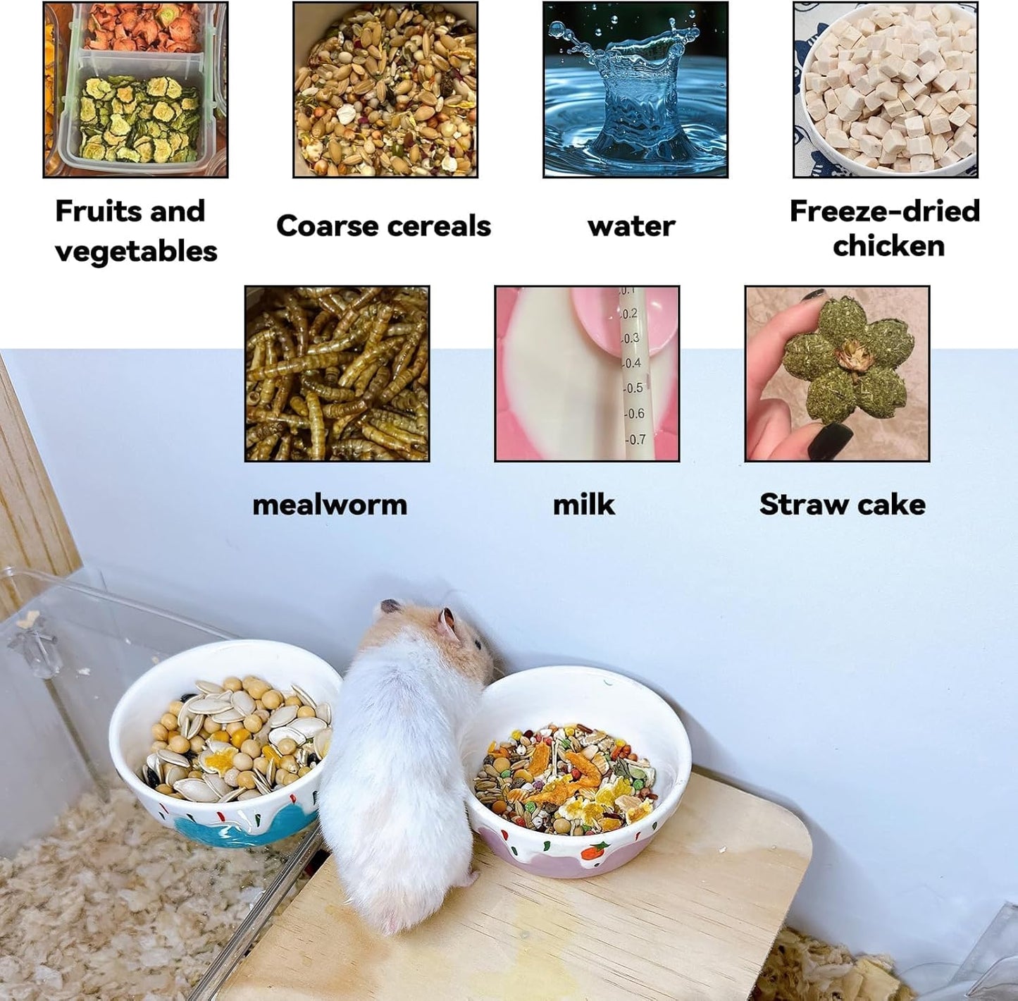 2 Pack Hamster Food Bowl Small Animals Ceramic Food Water Bowl Prevent Tipping Moving for Gerbil Chinchilla Hedgehog Rat (Color: Purple + Blue)