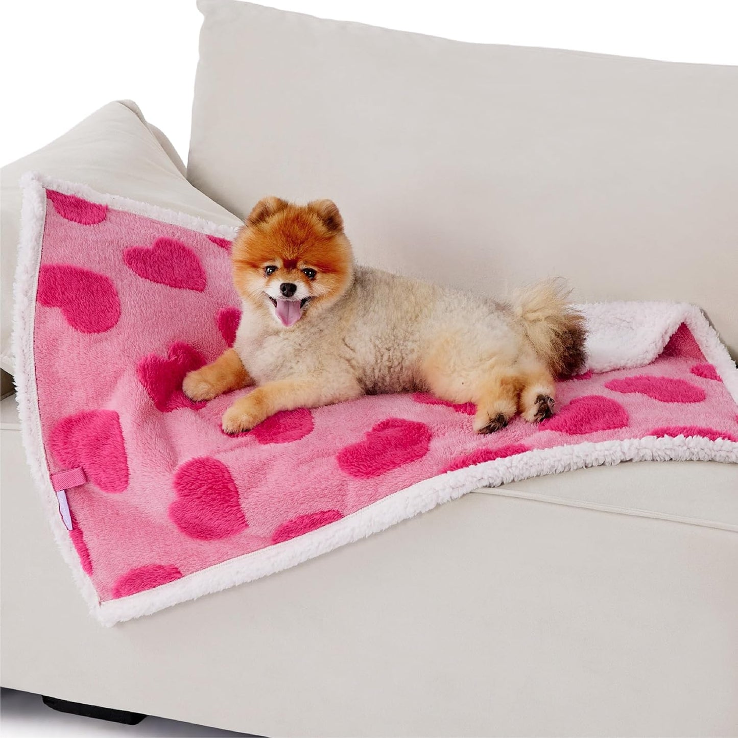 Lesure Waterproof Puppy Blanket for Small Dogs - Washable Double Sided Dog Blankets with Warm Jacquard Shag and Soft Sherpa Fleece, Pet Cat Blanket for Couch Protection, Love Pattern Design，Pink