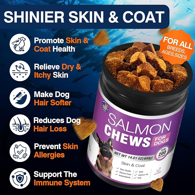 Omega 3 Skin and Coat Supplement for Dogs 200 Chews Dog Fish Oil Supplements with EPA & DHA Fatty Acids Dry Skin Relief for Dogs Shedding Allergy Itching Promotes Heart Hip Joint Health