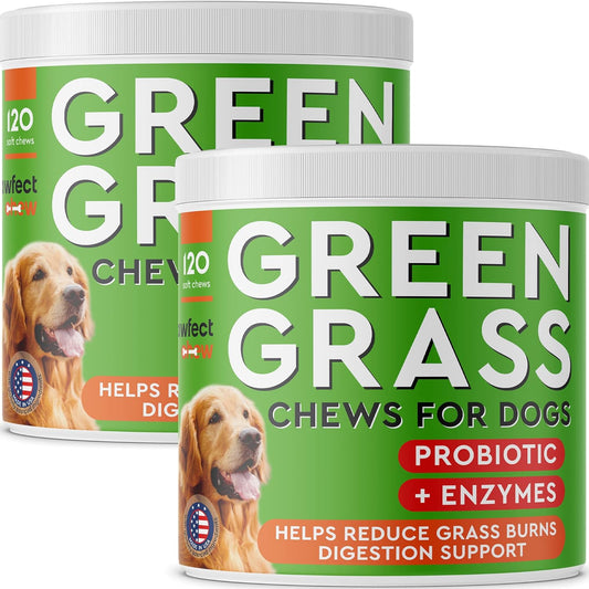 PAWFECTCHEW Green Lawn Chews for Dogs - Green Grass Chews - Urine Neutralizer Grass Burn Spots - Lawn Burn from Dog Urine - Probiotics & Enzymes - Made in USA - Bacon Flavor - 240 Lawn Saver Chews