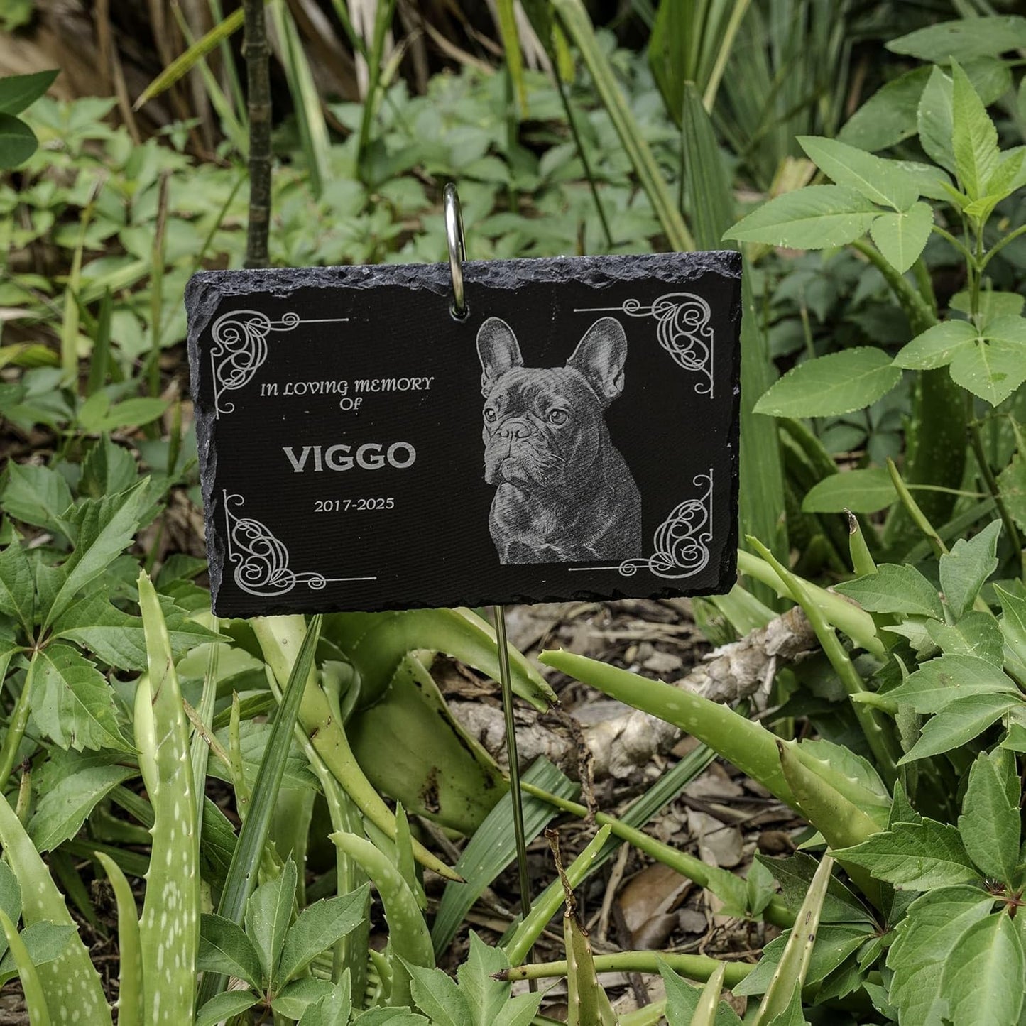 lemuria Outdoor Pet Memorial Plaque with Garden Stake Dog Grave Marker or Cat Headstone Personalized Slate Memorial Stone for Pets Weatherproof Rainbow Bridge for Yard or Cemetery (6x4 inches)