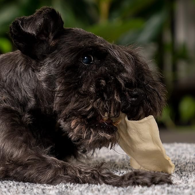 Pet Factory 100% Made in USA Beefhide Chips Dog Chew Treats - Natural Flavor, 8 oz