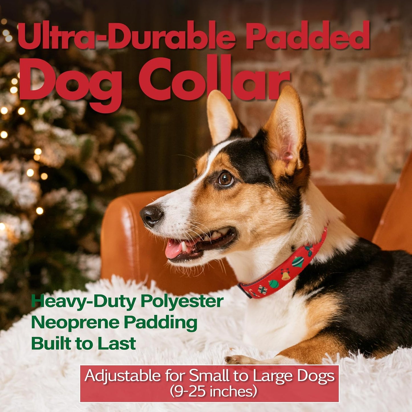 Christmas Dog Collar, Cute Holiday Red Collars for Girl & Boy, Reflective,Soft Padded Neoprene,Fully Adjustable,Durable & Lightweight Small Dog Collar, (Christmas, S)