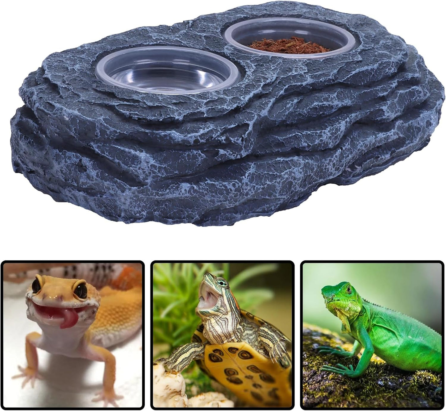 AIICIOO Crested Gecko Feeding Ledge Strong Magnetic Pet Food Bowl and Water Dish with 6 Pack Plastic Reptile Food Cups for Frog Chameleon Tortoise Lizard Pets