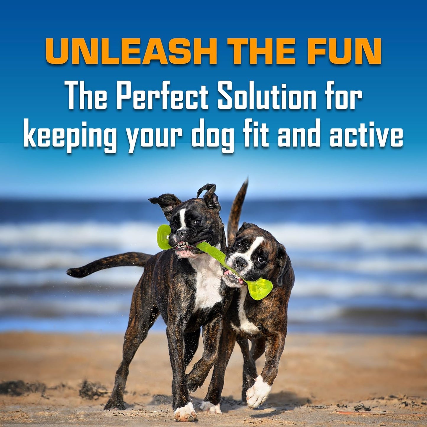 Nerf Dog Toy Gift Set, 3-Piece Set of Outdoor Dog Toys for Tug and Fetch, Includes Spike Squeak Ball, Treat Tug Bone and Exo Squeak Football