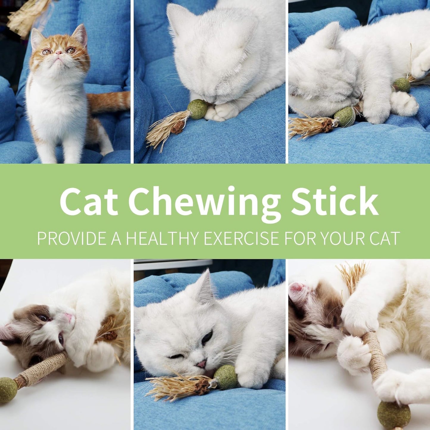 PAZ'S GIFT Catnip Toy Cat Toys Catnip Toy cat chew Toy cat Kicking silvervine Stick Teeth Cleaning Cute Kitten Teething Indoor Interactivecat Dental Care Matatabi (Catnip Balls)