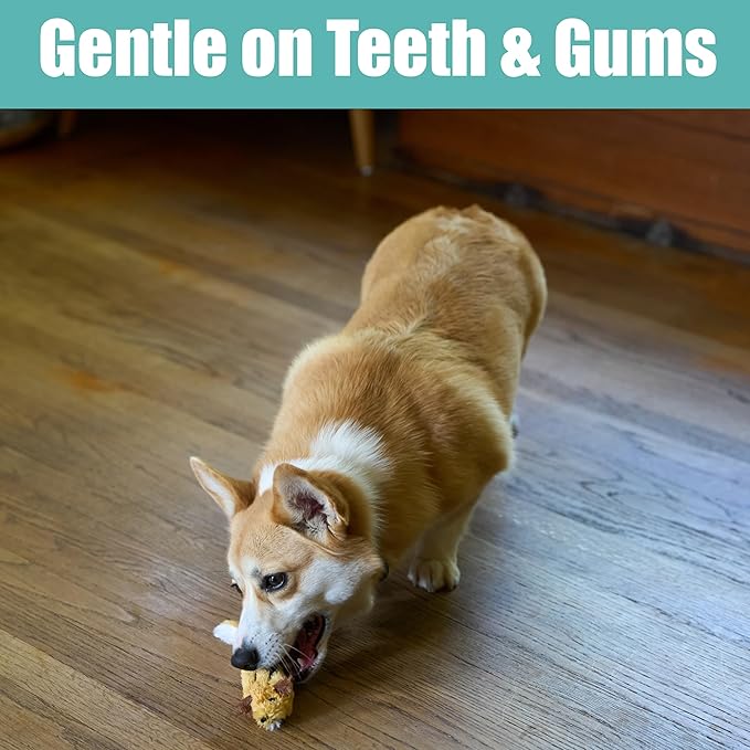 SPOT Skinneeez Flying Squirrel 14 Inch Stuffing-Free Plush Squeaky Dog Toy – Soft Tug-of-War Toy for Small and Medium Dogs – Mess-Free Interactive Chew Toy for Moderate Chewers