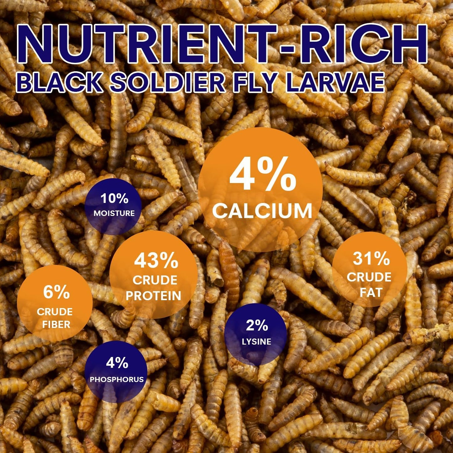 10lbs Dried Black Soldier Fly Larvae for Chickens - High Protein Chicken Food 100% Natural - BSF Larvae More Calcium Than Dried Mealworms, Chicken Treats for Laying Hens Ducks Birds