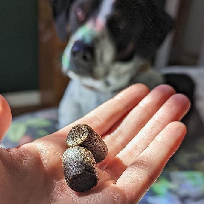 Hemp Well Calm Dog Soft Chews Relieves Anxiety, Calms and Relaxes Your Dog, Aids in Stress Relief and Behavioral Issues, Organically Sourced (2 Pack (120 Chews))