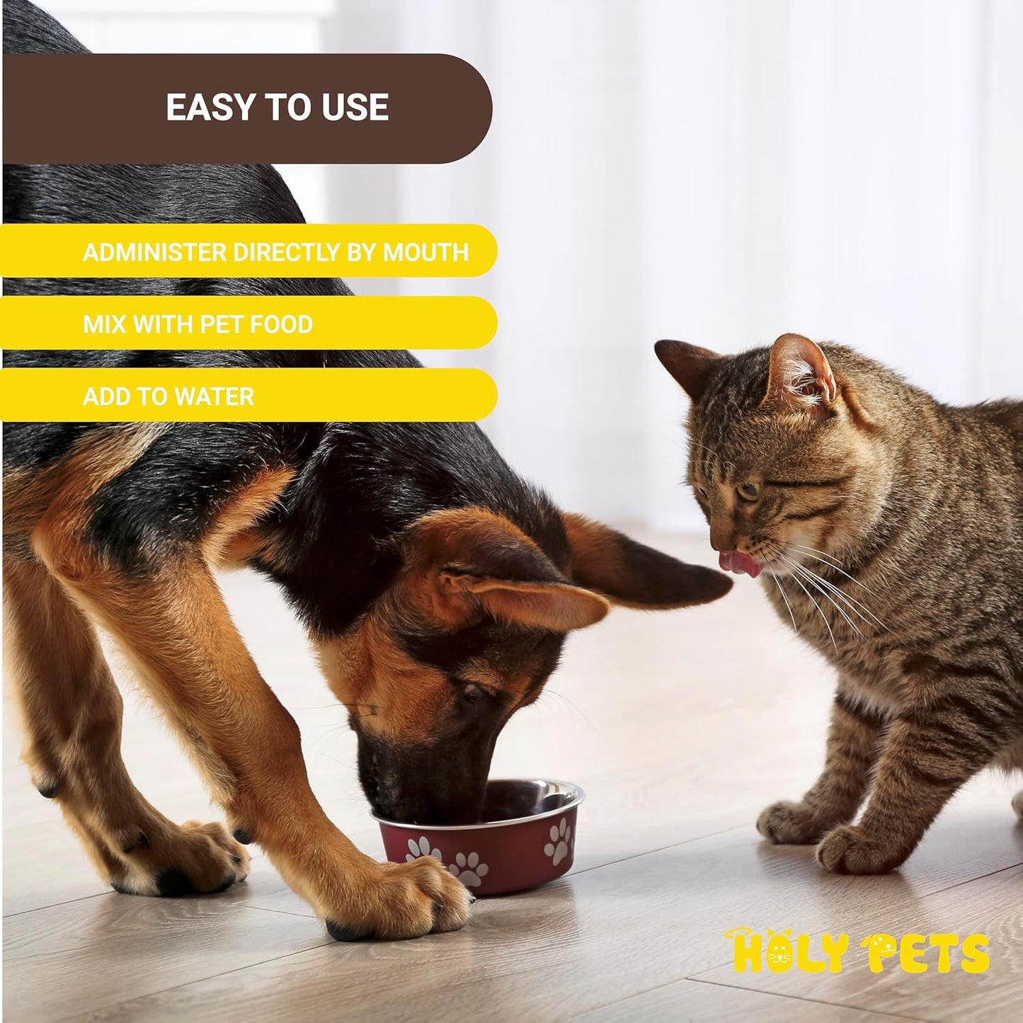 Cough Medicine for Dogs & Cats, Respiratory Infection Support - Sneezing Relief & Kennel Cough Treatment - Pet Asthma Support - Made with Natural Ingredients in The USA