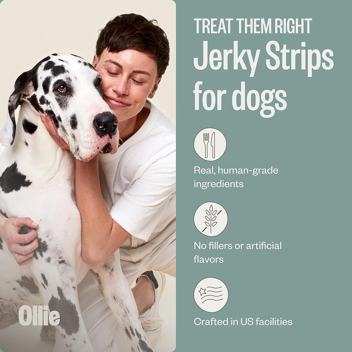 Ollie Chicken and Apple Jerky Dog Treats, 5 oz Pack of 1, All Natural, Healthy Snacks, Made with Real Meat, Human Grade, for Dogs