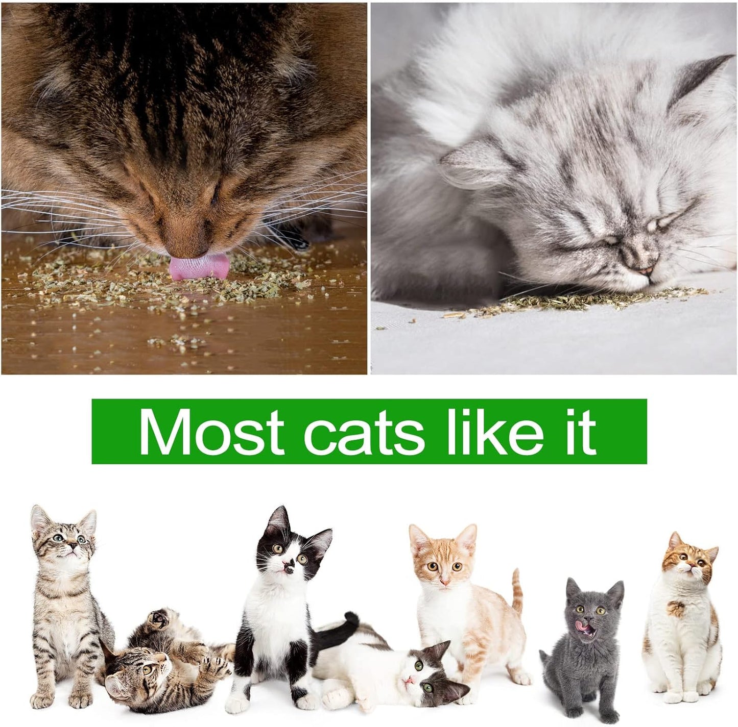 Dried Catnip, Natural Catmint, Used as a Snack or Filling Cat Toy, Delicately Dried and Sealed and Packaged for Easy Preservation (50g)