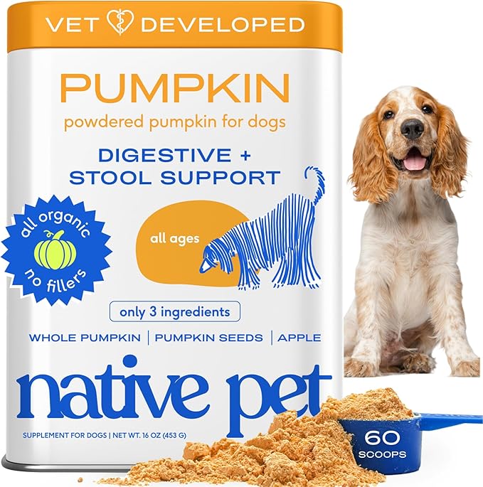 Native Pet Pumpkin for Dogs - Organic Powder Pumpkin Puree Dog Food Toppers -Rich in Fiber Supplement Powder Helps with Digestion, Nutrient Absorption, Diarrhea, Constipation & Upset Stomach-60 Scoops