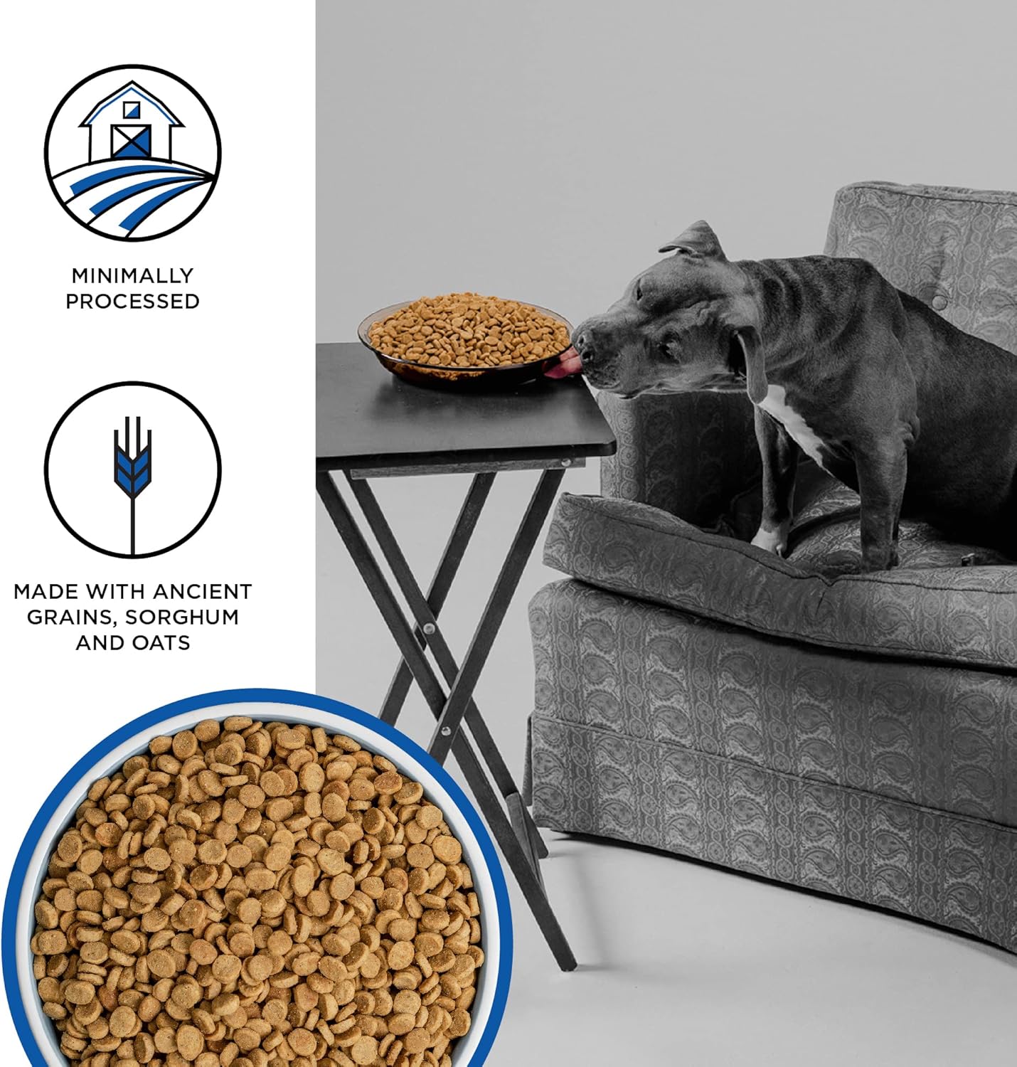 BIXBI Liberty Grain Friendly Dry Dog Food, Game Bird Feast Recipe, 22 lbs - Fresh Meat, No Meat Meal, No Fillers for Easy Digestion - USA Made