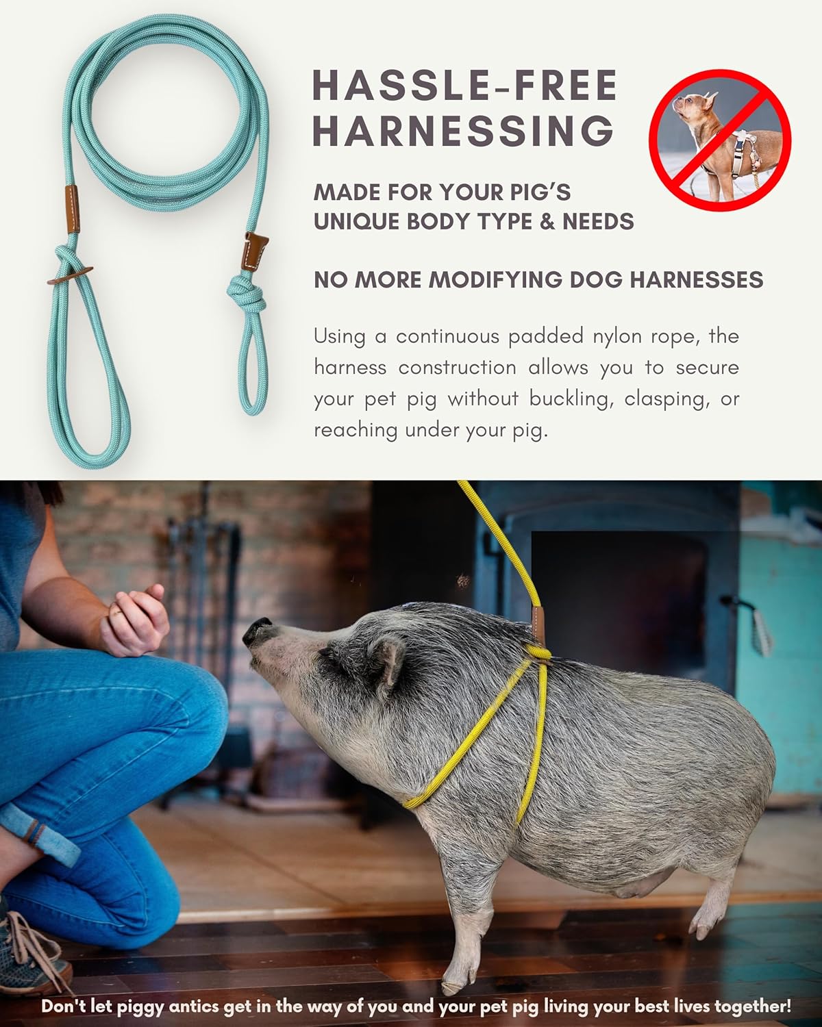Mini Pig Harness & Leash - Fully Adjustable, Infinity Style Lead, Step-in Harness, Potbelly Supplies, All-in-One - Ideal for Small & Large Pet Pigs (Mauve Pink, Large)