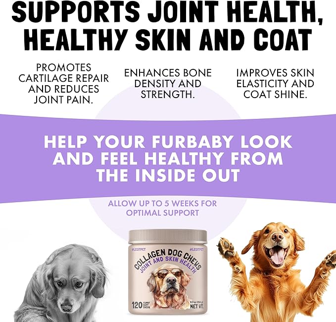 Collagen Dog Chews for Joint & Skin Health 120 Soft Chews All Breeds Mobility, Cartilage Repair & Pain Relief Hip & Joint Skin Coat Anti-inflammatory Support Eggshell Membrane Senior & Adult Dogs