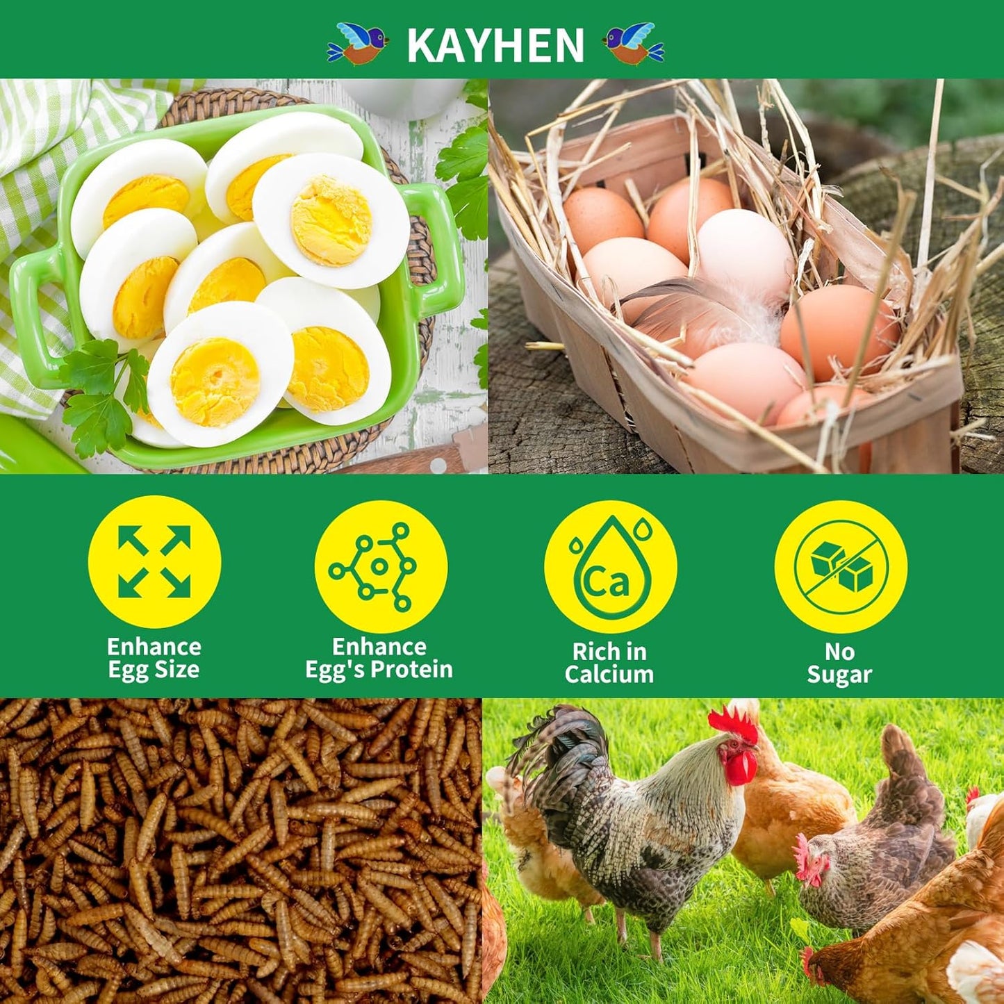 KAYHEN Dried Black Soldier Fly Larvae 5LB Non-GMO BSF Larvae for Chickens More Calcium Than Mealworms High-Protein Chickens Treats for Layer Hens Wild Birds Ducks